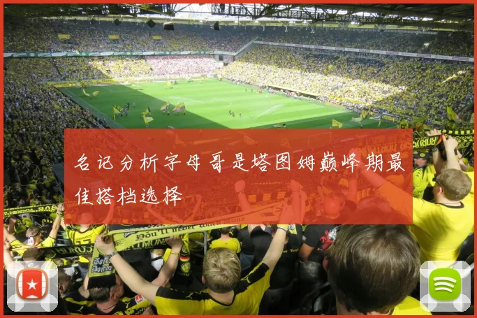 名记分析字母哥是塔图姆巅峰期最佳搭档选择