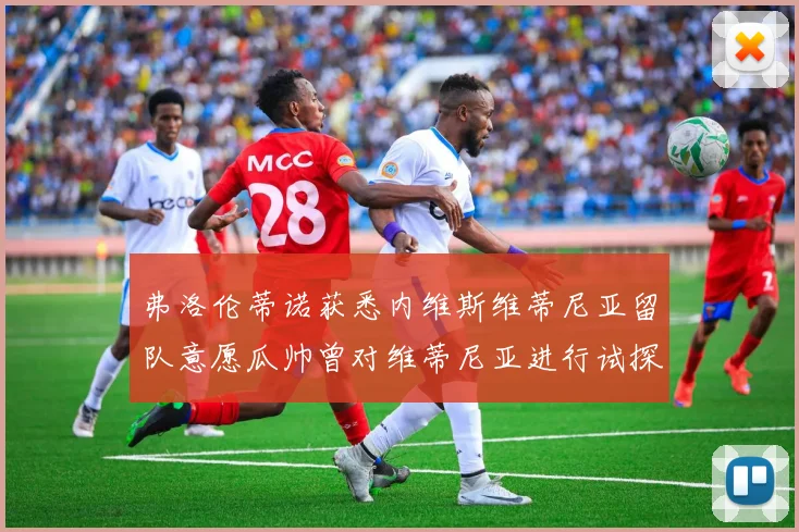 弗洛伦蒂诺获悉内维斯维蒂尼亚留队意愿瓜帅曾对维蒂尼亚进行试探
