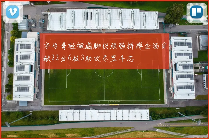 字母哥轻微崴脚仍顽强拼搏全场贡献22分6板3助攻尽显斗志