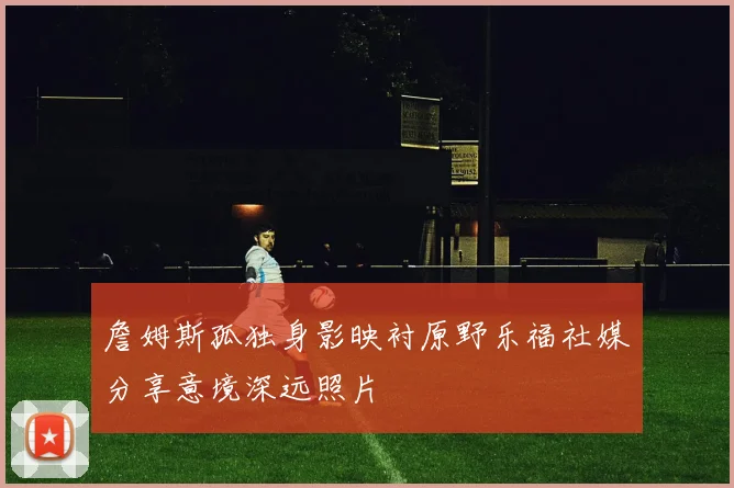 詹姆斯孤独身影映衬原野乐福社媒分享意境深远照片