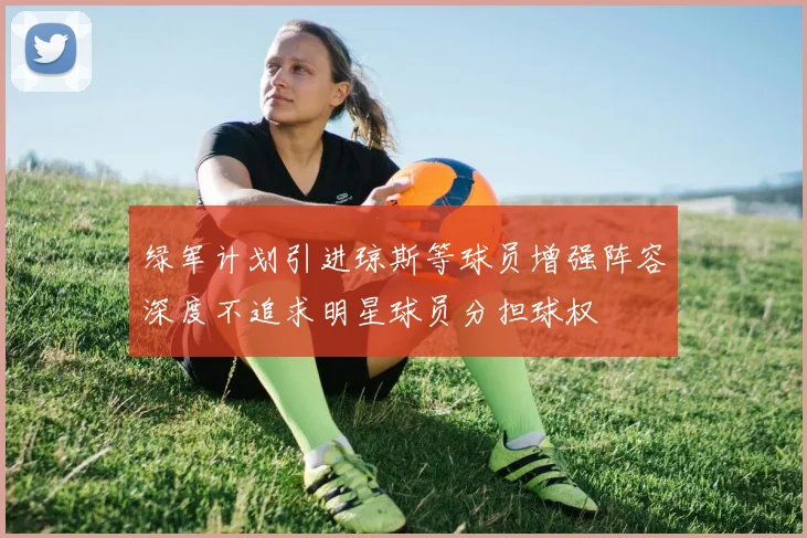 绿军计划引进琼斯等球员增强阵容深度不追求明星球员分担球权